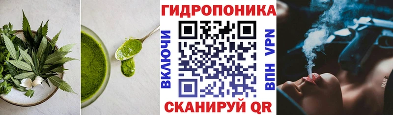 Еда ТГК марихуана  цены   Каргополь 