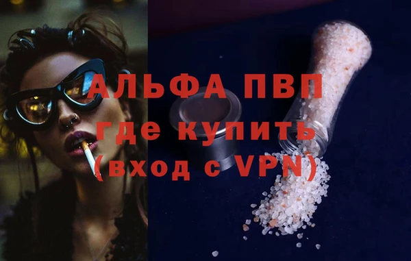 СК Алексин