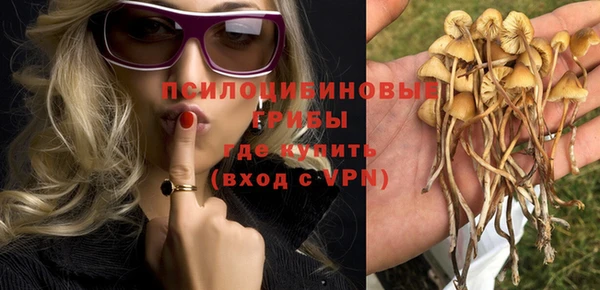 кокс Пестово