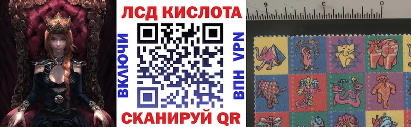 купить закладку  Каргополь  Марки NBOMe 1,8мг 