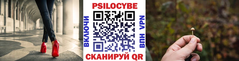omg зеркало дарнет шоп Каргополь Псилоцибиновые грибы Psilocybe